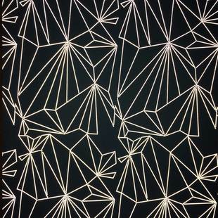 花式反光印花布13號圖